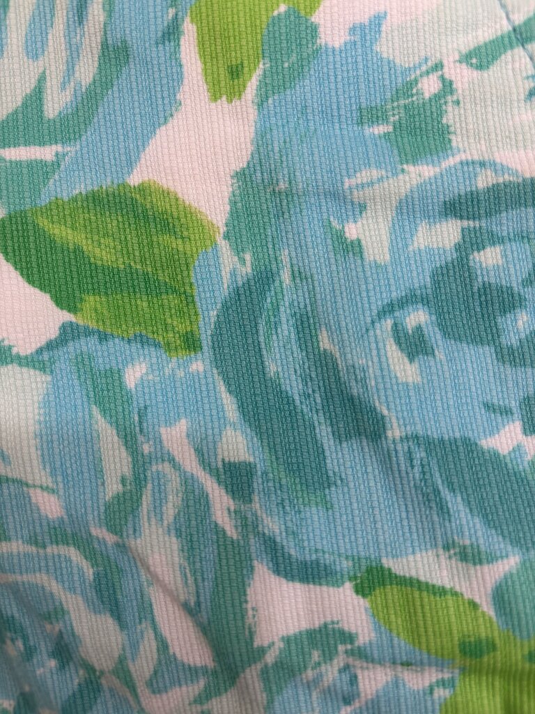 Lilly Pulitzer Shorts Size: 0