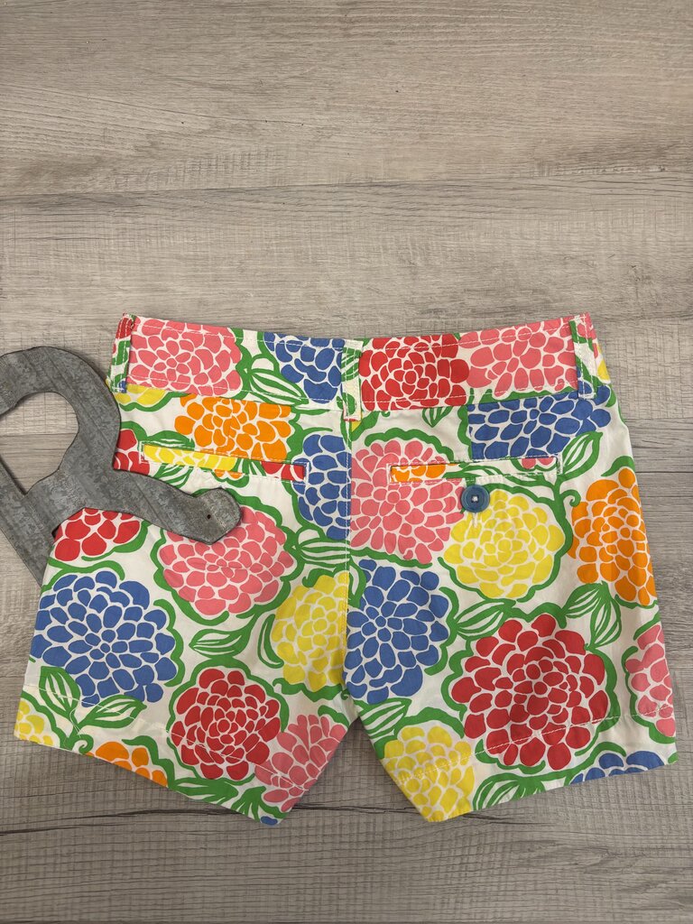 Lilly Pulitzer Shorts Size: 0
