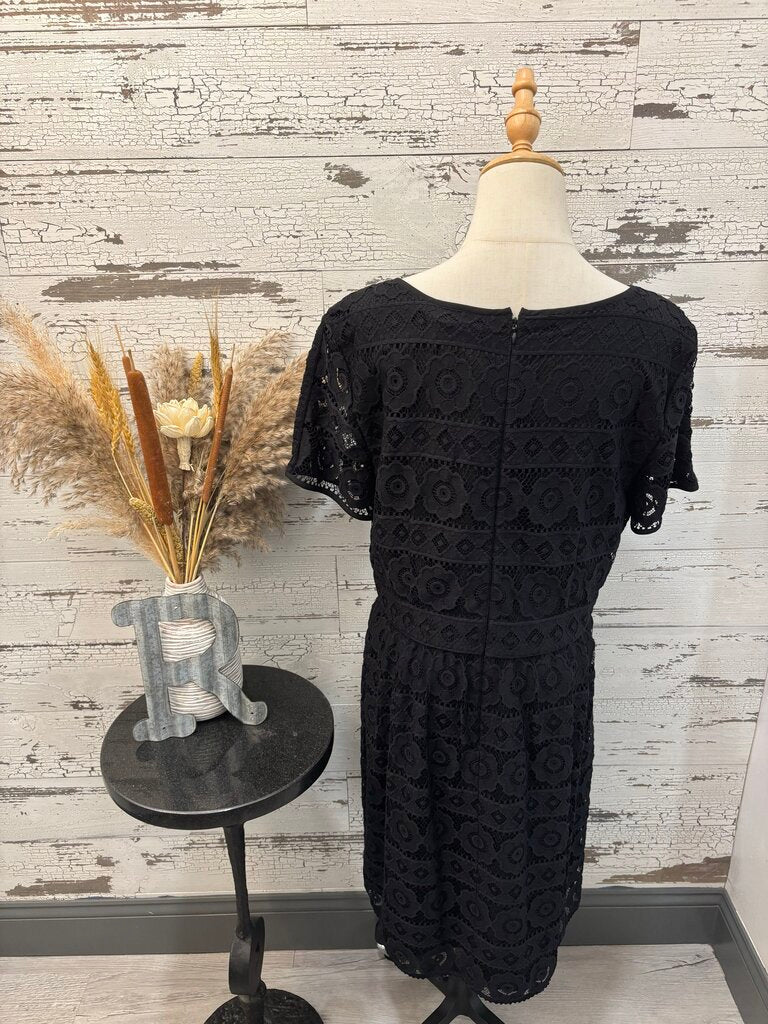 Loft NWT Black Dress