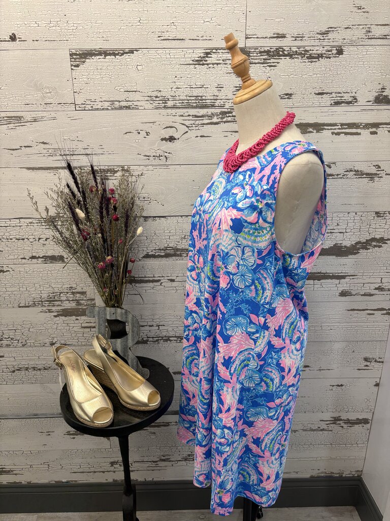 Lilly Pulitzer Dress Size: Large