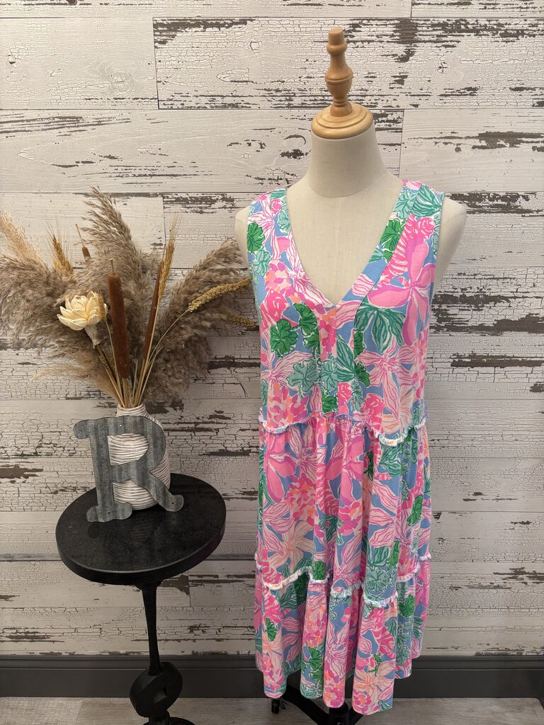 Lilly Pulitzer Dress Size: Small
