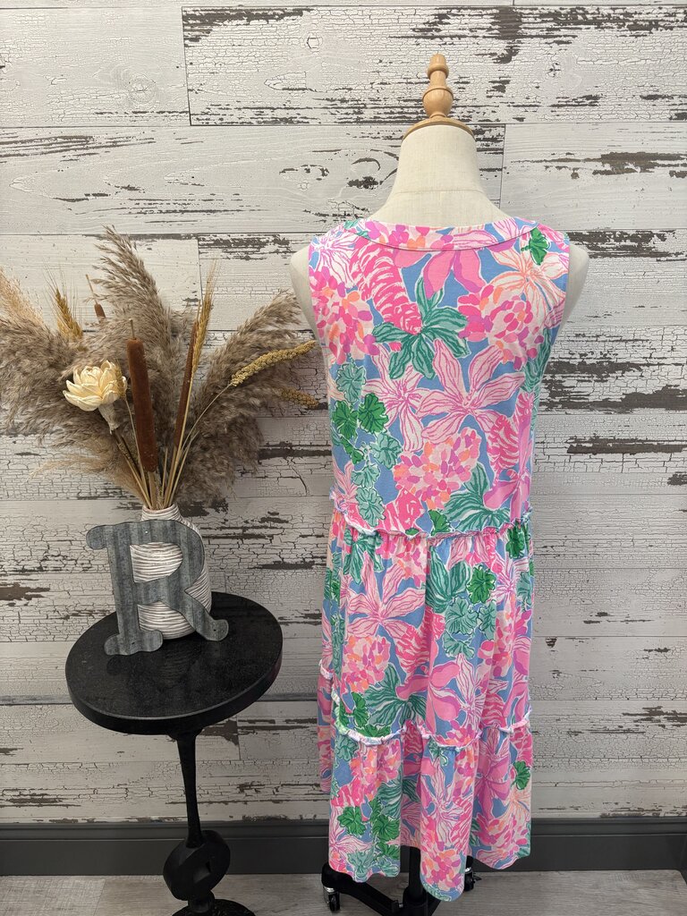 Lilly Pulitzer Dress Size: Small
