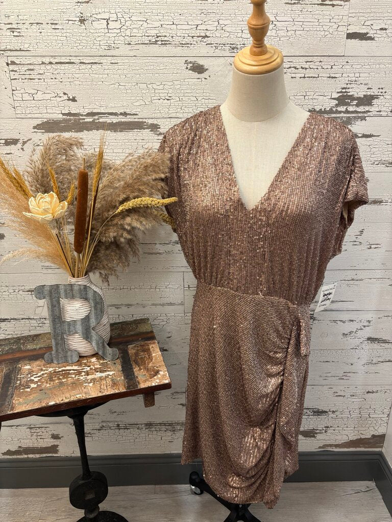Chelsea 28 NWT Gold Sparkly Dress
