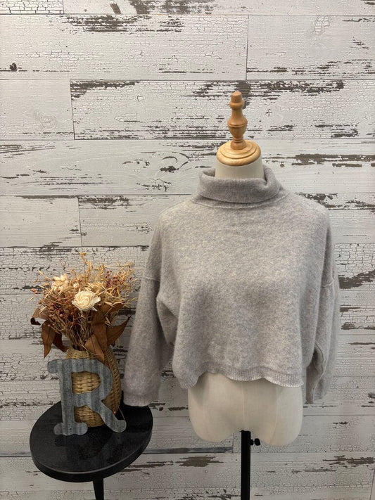 Free People Crop Sweater